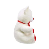 HEDİYELİK 57CM PELUŞ AYI - 5