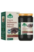 Arifoğlu Organik Keçiboynuzu Pekmezi 440g ARLAB - 1
