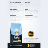Reflex Plus Skin&Coat Somonlu Mini ve Küçük Irk Yetişkin Köpek Maması 3 kg - 3