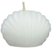 Beyaz İstiridye Şeklinde Zarif Mum (25 ADET) - 2