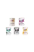 JOYWAX Konserve Sir Agda 800ml 5 Çeşit - 1
