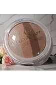 GOLDENLADY TERRACOTA POWDER NO:15 - 2