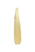 Kese Hamam Kesesi Kabak Lifi 60 - 70 Cm Ham Kabak Lifi Işlenmemiş Lif Kabak - 2