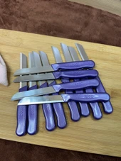 Kapris 12 Adet Meyve Bıçağı Seti Alman Model Mor SLR01 - 1