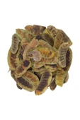 Açlık Otu 1 Kg - 2