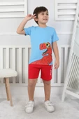 Erkek Çocuk Şort Takım Dinazorlu - 5