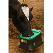 Büyükbaş Donmaz Otomatik Yalak Tek Toplu Suluk-50 Litre thumbnail 4