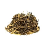 Göz Otu- (Kafa Otu) Gözlük Otu 100 Gr-2 Adet - 6