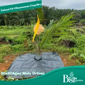 Ağaç Taban Örtüsü 80x80 10 Adet Bsr Garden - 6