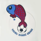 Taraftar Trabzon TS Hamsi Bordo Mavi Çocuk Bebek Yeni Doğan Kapı Duvar Dolap Süsü Hediye - 1