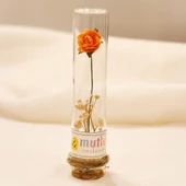 Dekoratif Cam Tüp Mantar Tıpalı Mini Çiçekli Hediyelik 9cm (20) - 1