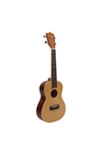 Ukelele Masif Ağaç Pro Concert - 1