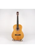 Klasik Gitar Dnz375 Gitar Softcase Sert Kılıf - Rodrigo - 5