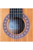 Klasik Gitar Dnz375 - 1 Takım Tel - Pena - Kılıf Hediyeli - 8