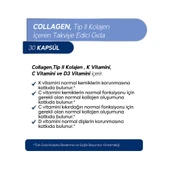 Kolajen Tip 2 Içeren 30 Kapsül Takviye Edici Gıda Collagen thumbnail 2