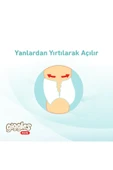 Pants Külotlu Bebek Bezi 3 Numara Midi 170 Adet - 5