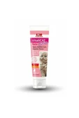 Bio PetActive  Bio Pet Active Vitalicat Junior Taurin Ve Biotin Yavru Kedi Macunu 100ml - 1