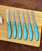 Kapris 6 Adet Sebze Bıçağı Seti Alman Model Yeşil SLR02 - 1