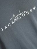 JACK JONES Yazı Detaylı Pamuklu Erkek Tişört 12273163 thumbnail 2