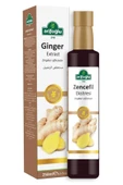 Zencefil Ekstresi - Ekstrakt 250ml - 2