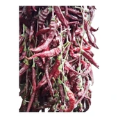 Çukurören Acı Cin Biberi Kurutulmuş(150 Yıllık Ata Tohumundan) x 3 Dizi (60 Adet) thumbnail 2