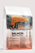 Somonlu Yetişkin Köpek Maması 15 kg - 1