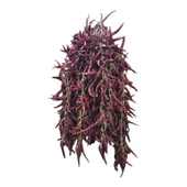 Çukurören Acı Cin Biberi Kurutulmuş(150 Yıllık Ata Tohumundan) x 3 Dizi (60 Adet) thumbnail 3