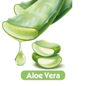 Baby Turco Islak Havlu Mendil Soft Care Aloe Vera 90 Yaprak Tekli Pk Plastik Kapaklı - 3