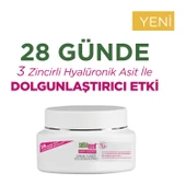 Sebamed Kırışık Karşıtı Dolgunlaştırıcı Antı-Ageıng Krem 50ML (6 Lı Set) - 2