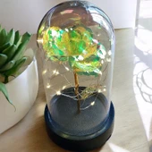 Brokoli Home Fanus Içerisinde Dekoratif Sonsuzluk Gülü , Anneler Günü , sevgililer Günü , Hediyelik - 5