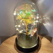 Brokoli Home Fanus Içerisinde Dekoratif Sonsuzluk Gülü , Anneler Günü , sevgililer Günü , Hediyelik - 4