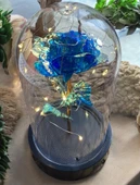 Brokoli Home Fanus Içerisinde Dekoratif Sonsuzluk Gülü , Anneler Günü , sevgililer Günü , Hediyelik - 5