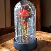 Brokoli Home Fanus Içerisinde Dekoratif Sonsuzluk Gülü , sevgililer Günü , Anneler Günü , Hediyelik - 4