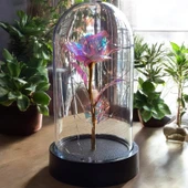 Brokoli Home Fanus Içerisinde Dekoratif Sonsuzluk Gülü , sevgililer Günü , Hediyelik Anneler Günü - 4