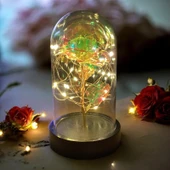 Brokoli Home Fanus Içerisinde Dekoratif Sonsuzluk Gülü , Anneler Günü , sevgililer Günü , Hediyelik - 3