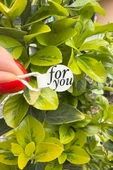 For You Model1 Krem Rengi İp Fitil Etiketi 100 Adet - 3