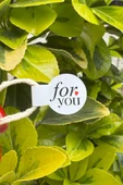 For You Model2 Beyaz İp Fitil Etiketi 100 Adet - 3