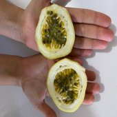Özel Dev Meyveli Passiflora Edulis Var Flavicarpa Tohumu (30 tohum) - 12
