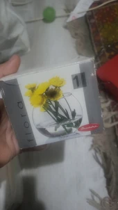 Pasabahçe flora küçük fanus - 1