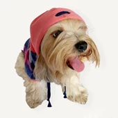 Mini Suqare Pie Kapşonlu Ceket Sweat by Kemique Köpek Kazağı - 5