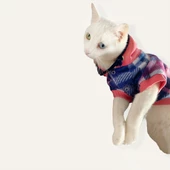 Mini Suqare Pie Kapşonlu Sweatshirt Ceket Kedi Süeteri Kıyafeti - 4