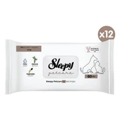 Petcare Evcil Hayvan Islak Havlusu 12X60 Yaprak thumbnail 2