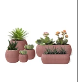 Omnipazar Mercan Dekoratif Sukulent Kaktüs Plastik Saksı Takımı 6'lı Set Pembe thumbnail 2