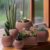 Omnipazar Mercan Dekoratif Sukulent Kaktüs Plastik Saksı Takımı 6'lı Set Pembe thumbnail 1