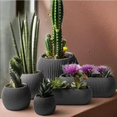 Omnipazar Mercan Dekoratif Sukulent Kaktüs Plastik Saksı Takımı 6'lı Set Antrasit thumbnail 1