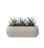 Omnipazar Mercan Dekoratif Sukulent Kaktüs Plastik Saksı Takımı 6'lı Set Bej thumbnail 2