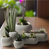 Omnipazar Mercan Dekoratif Sukulent Kaktüs Plastik Saksı Takımı 6'lı Set Bej thumbnail 1