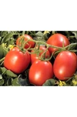 Domates Coşturan Gübre 20 Kg - 1