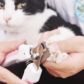 Kedi Köpek Tırnak Makası Seti - 2