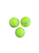 Kedi Ve Köpekler İçin  Oyun Topu  3'lü Tenis Topu Paketli - 1